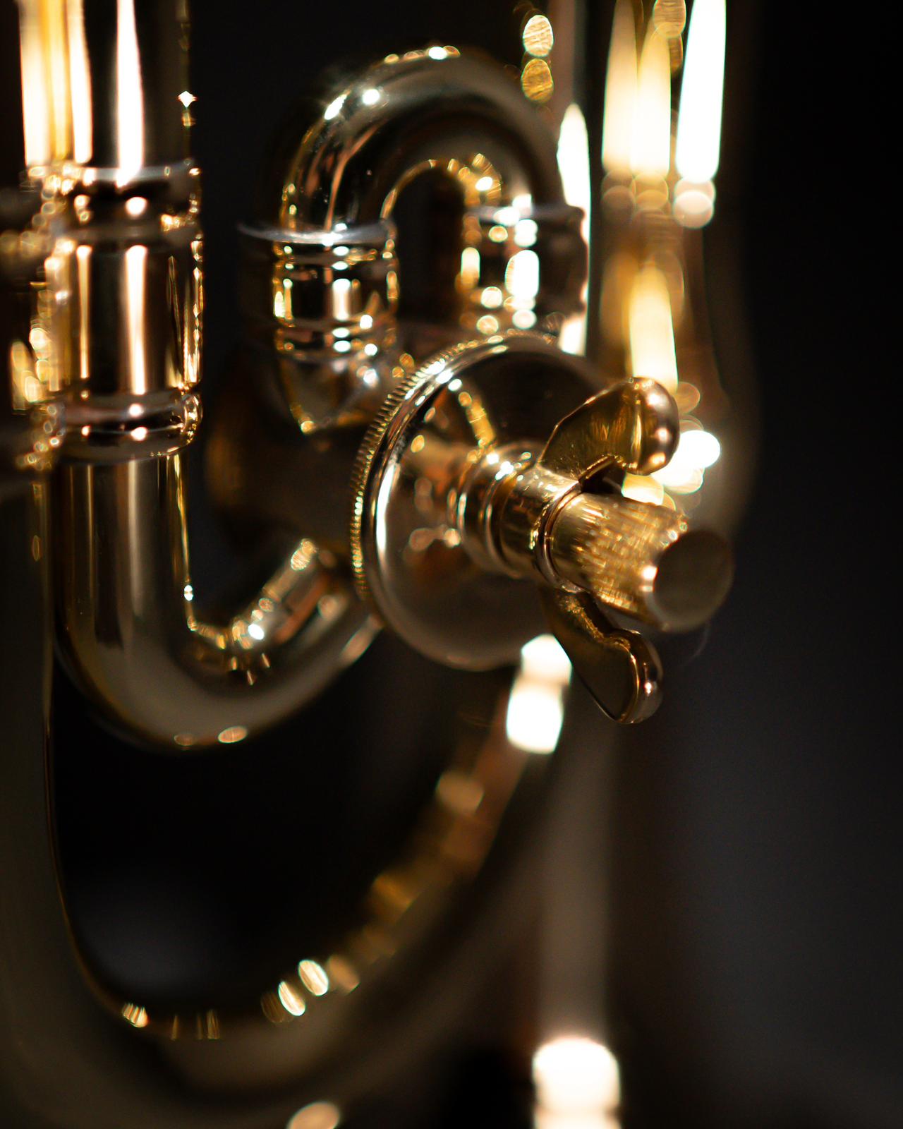 7ca09dec-ae37-45e2-8a2a-266c90410c14